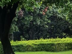 -荔香公园