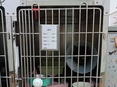 -宠福鑫康馨动物医院·骨科·眼科