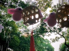 -无锡梅园公园