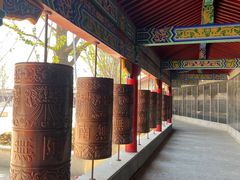 -皇罗禅寺