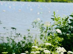 -白塔湖国家湿地公园