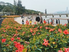 -深圳湾公园(南山区)