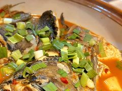 -千岛湖小鱼儿·淳安匠心农家菜