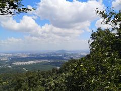 -紫金山天文台
