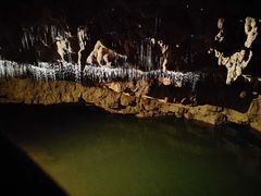 -怀托摩萤火虫洞