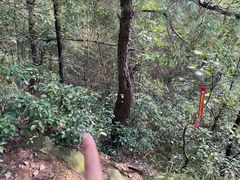 -南山植物园
