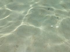 -洛克岛