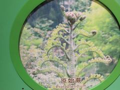 -佛山科学馆