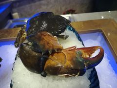 -海鼎荟海鲜姿造(泉州仟禧店)