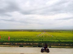 -青海湖国家重点风景名胜区