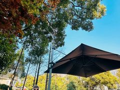 -J Create城市露营咖啡·简餐·宠物(上海动物园店)