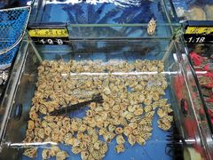 -明记海鲜大排档(巽寮湾店)