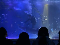 -常州海昌海洋探索馆