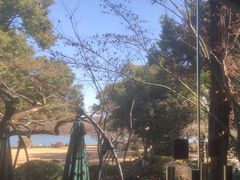 -浙江西子宾馆·瑶园咖啡厅