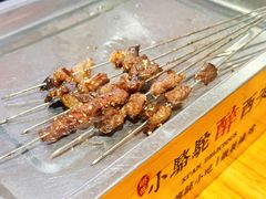 -福苗小骆驼烧烤(莲湖路店)