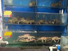 -蚝专家(北滘店)