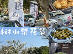 -树山生态村