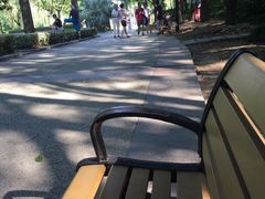 -苏州河梦清园环保主题公园