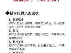 -立德动物医院·24小时中心(番禺区院区)