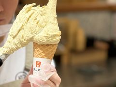 -野人先生Gelato(上海长宁龙之梦店)