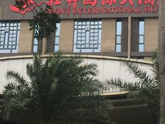-牡丹国际大酒店-港式茶餐厅