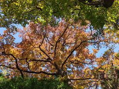 -东天目山风景区