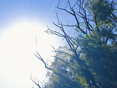 -西昌邛海湿地