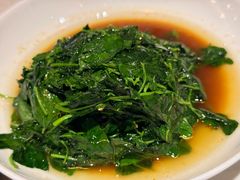 -荟廷·晶萃(陆家嘴尚悦湾店)
