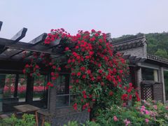 -龙寺生态园