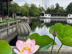-无锡蠡湖国家湿地公园-蠡园