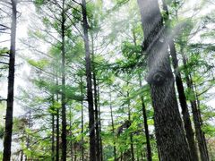 -长春市南湖公园