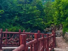 -北京凤凰岭