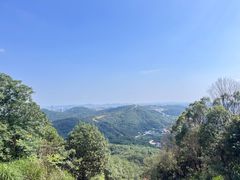 -桃花岭景区