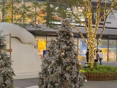 -东莞松山湖万象汇