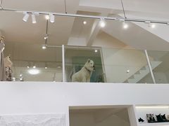 -MSV 高端礼服定制(大良店)