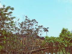 景观位-花溪雨·森林餐厅(石基店)