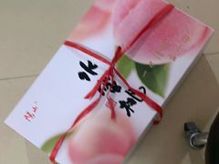 -老袁家蜜桃农场·阳山水蜜桃