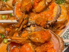 -桂满陇·海市蜃楼·黑金(国金店)