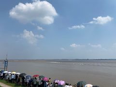 -观潮胜地公园