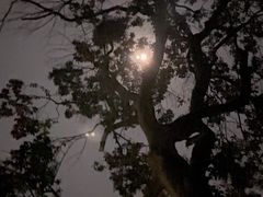-雨花胜境