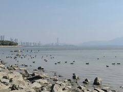 -深圳湾公园(南山区)