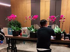 -桃花源中餐厅(金茂豪华精选酒店)