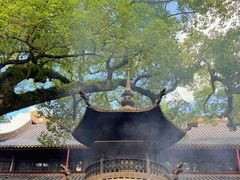 -阿育王寺