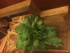 -芦月轩羊蝎子(太平桥店)