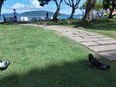 -麦哲伦丝绸度假村