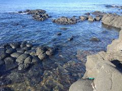 -Cafe Aewol Monsant