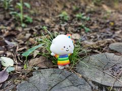 -南京市无想山景区