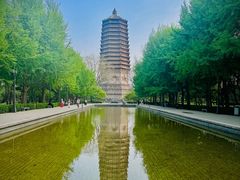 -玲珑塔公园