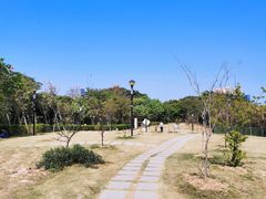 -立新湖公园