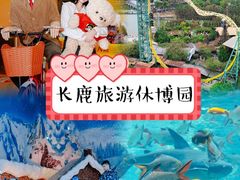 -长鹿旅游休博园